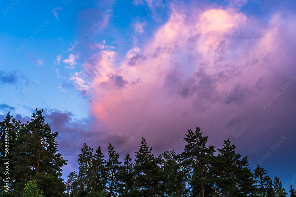 Pink clouds at sunset before the rain Pink clouds at sunset before the rain