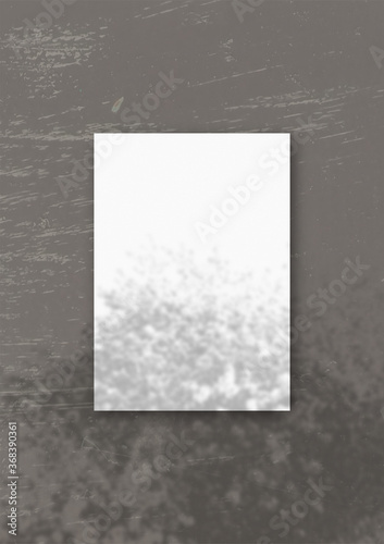 The vertical sheet of white textured A4 paper on the grey wall background. Mockup overlay with the plant shadows. Natural light casts shadows from an Apple branches