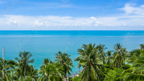 aerial drone shot of beautiful green coconut trees and crystal clear sea water in summer, palm tree and ocean.