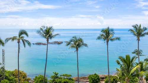 aerial drone shot of beautiful green coconut trees and crystal clear sea water in summer  palm tree and ocean.