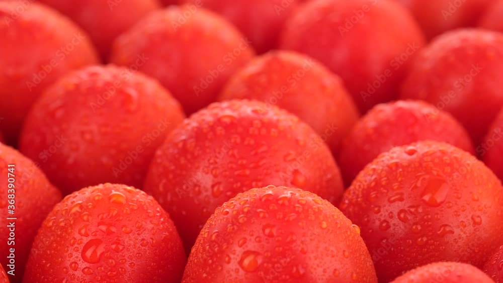 fresh red tomatoes with water drops closeup rotation fresh red tomatoes with water drops closeup rotation