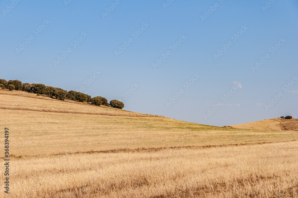 Campo seco de Aragón, cercano a la provincia de Soria. Contraste de colores entre el cielo y la tierra.