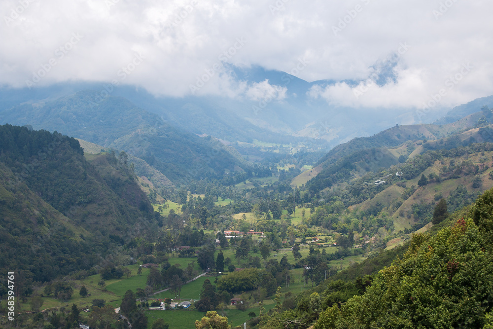 panorama photo of cocora valley in colombia