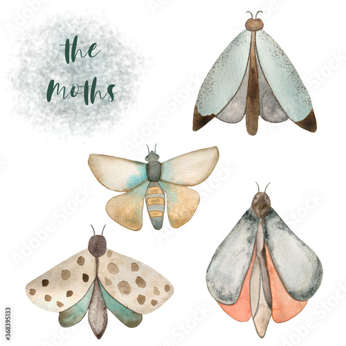 Watercolor illustration of a moth. Drawn by hand with watercolors and is suitable for all types of design and printing.