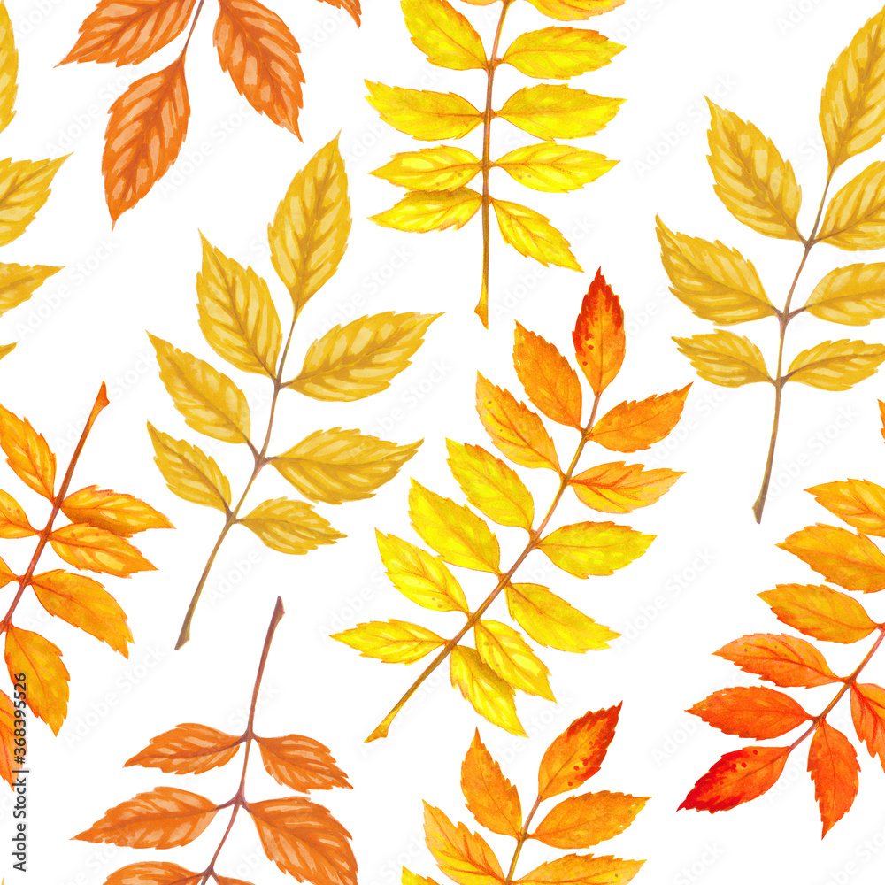 Watercolor autumn leaves seamless pattern on white background.
