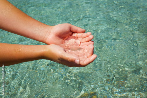 Small jellyfish in a human palm on the background of sea water Hands with jellyfish Copy space for text