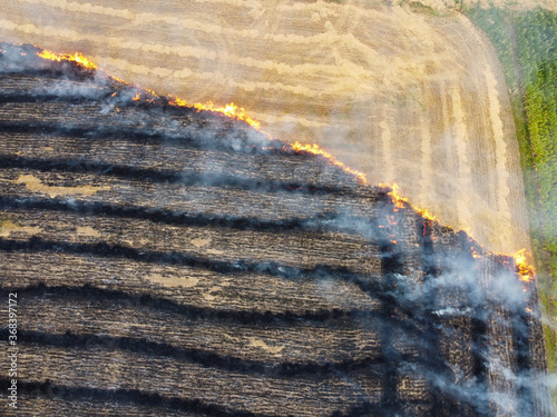 Burned mowing of straw in the field, air pollution due to burning of plant remains, burning of grass and destruction of nature.