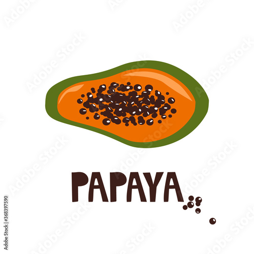 Hand drawn illustration, papaya and english text. Colorful background vector. Poster design with fruit. Decorative cute backdrop, good for printing