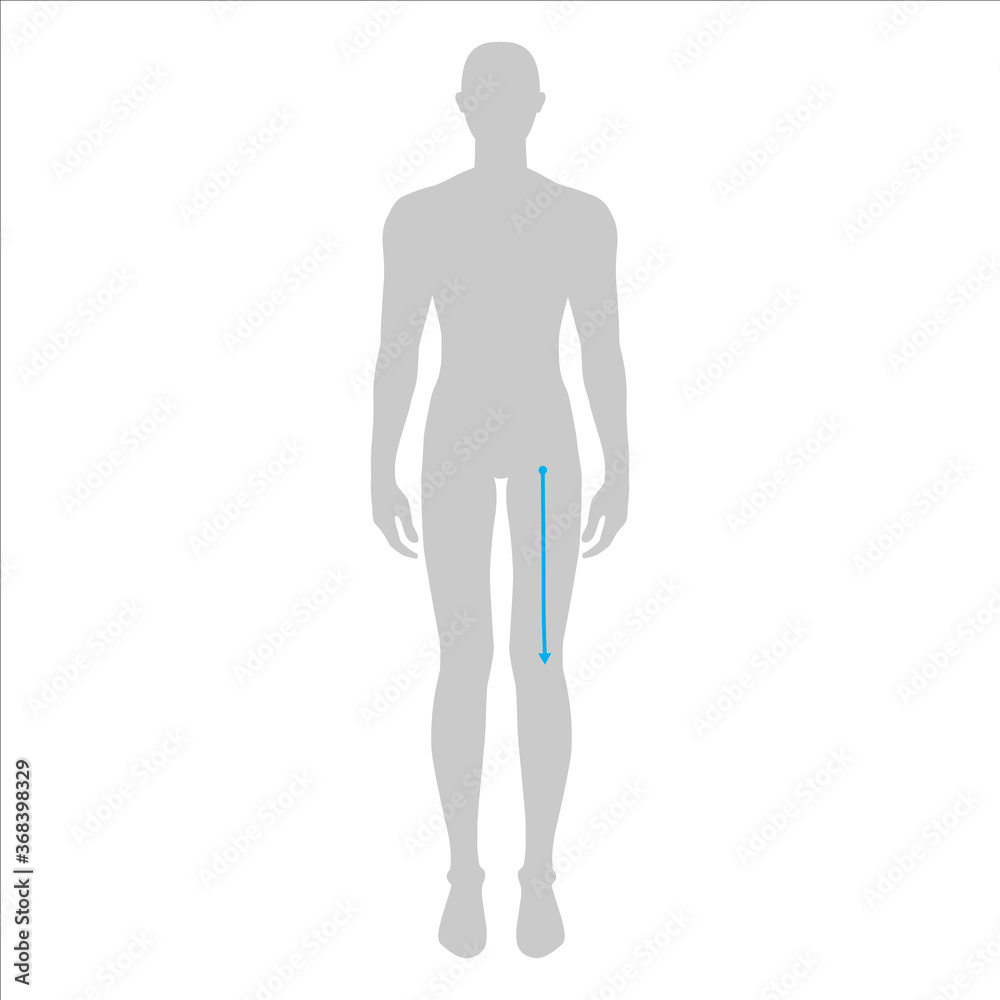 Men to do crotch to knee measurement fashion Illustration for size chart. 7.5 head size boy for site or online shop. Human body infographic template for clothes. Men to do crotch to knee measurement fashion Illustration for size chart. 7.5 head size boy for site or online shop. Human body infographic template for clothes.