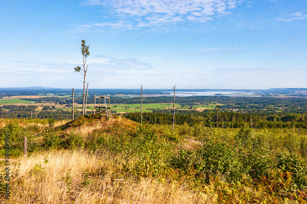 Fototapeta premium Hunting tower on a hill at a clearcut area an a landscape view