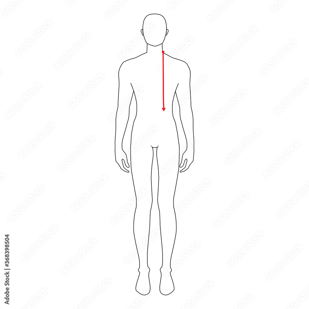 Men to do HPS -high point shoulder- to waist measurement fashion Illustration for size chart. 7.5 head size boy for site or online shop. Human body infographic template for clothes Men to do HPS -high point shoulder- to waist measurement fashion Illustration for size chart. 7.5 head size boy for site or online shop. Human body infographic template for clothes
