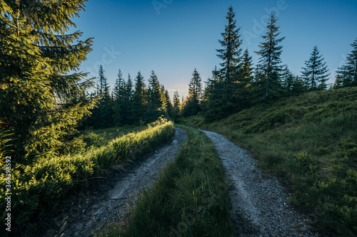 A train traveling down train tracks near a forest