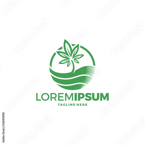 cannabis leaf logo design vector template