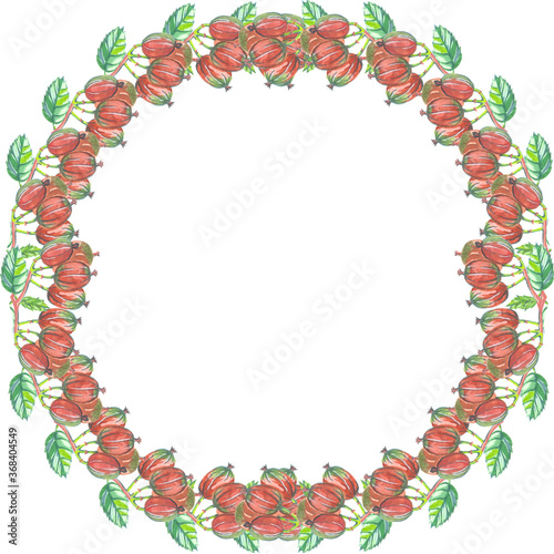 watercolor gooseberry frame on white background