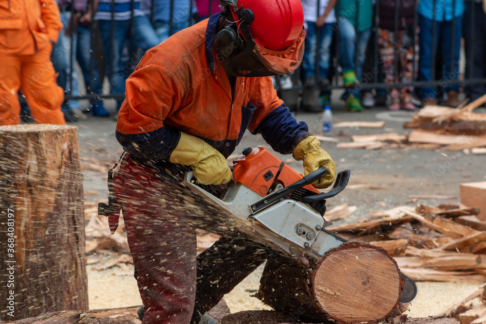 worker cutting a wood log with chainsaw in a show