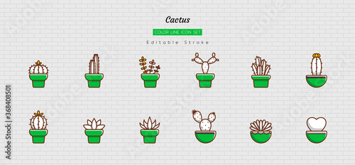 filled color line icon symbol set, mini home gardening, greenhouse, little cactus, succulent, Isolated flat vector design, editable stroke