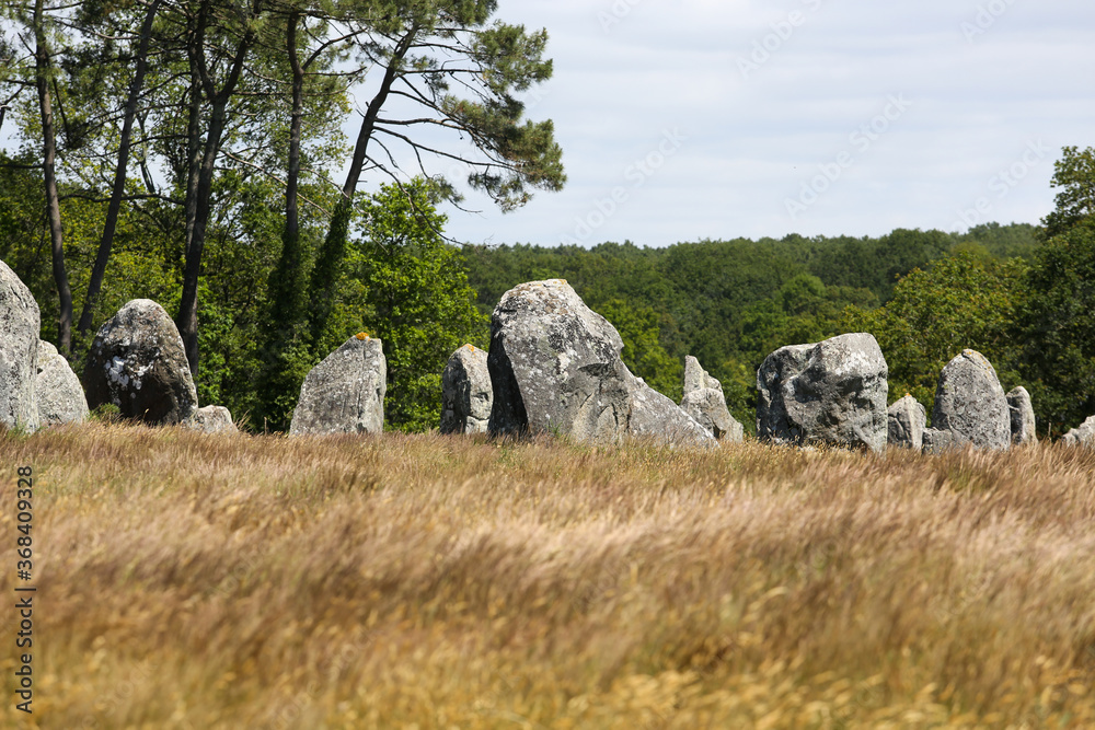 alignment of Carnac in a French Brittany alignment of Carnac in a French Brittany