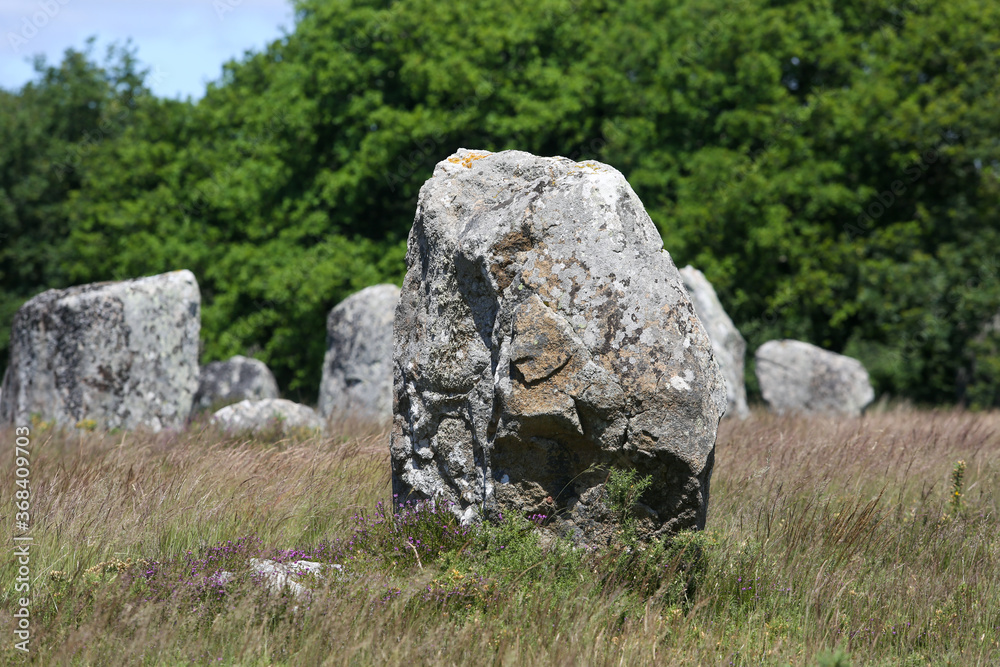 alignment of Carnac in a French Brittany alignment of Carnac in a French Brittany