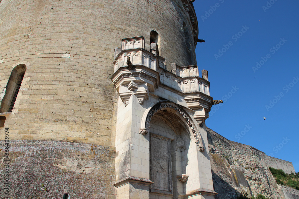 renaissance castle in amboise (france)