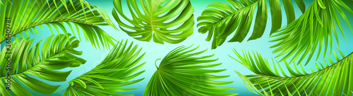 Vector horizontal banner with green, natural leaves on a sky background. Best as a web banner