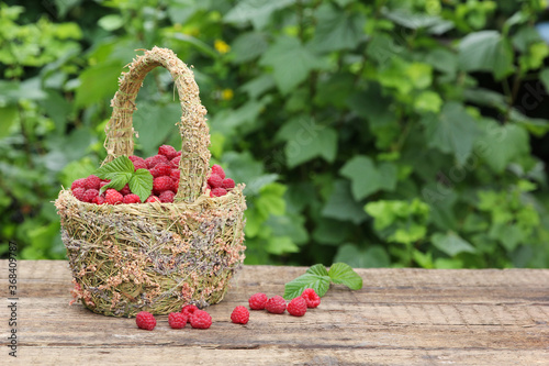 Berries. Fresh raspberries in a basket on an old wooden table with leaves. Rustic. Summer  garden  outdoor. Harvest. Background image  copy space