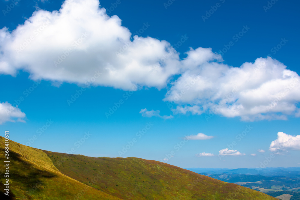 hills and meadows under the blue sky with clouds. hills and meadows under the blue sky with clouds. mountain landscape in late summer on a sunny day. beautiful scenery in august.