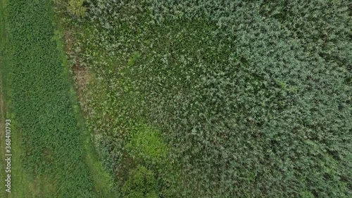 Fields of Crops