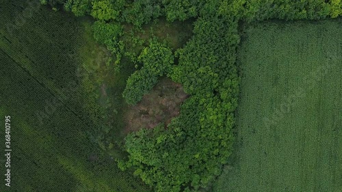 Archeology Findings in the Field