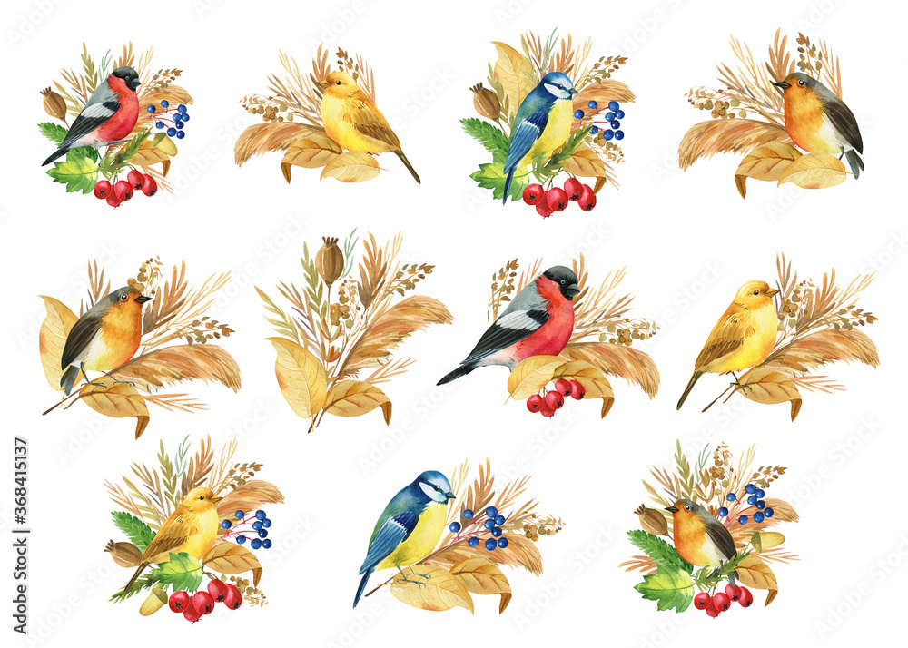 Obraz premium composition with birds bullfinches, titmice, canaries, robin. Autumn leaves and herbs. isolated background, watercolor 