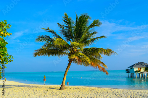 Fototapeta Naklejka Na Ścianę i Meble -  Sunny beach with white sand, coconut palm trees and turquoise sea. Summer vacation and tropical beach concept. Overwater at Maldive Island resort.