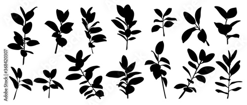 Set of floral vector elements. Tropical green leaves. Shadow leaves branches set. Design for wedding invitation, print, Summer exotic flora, ads and wallpaper.