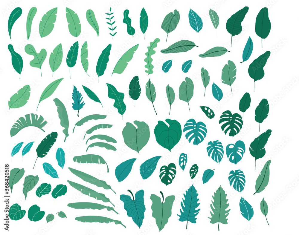 Tropical leaves vector collection. Set of silhouettes monochrome jungle exotic leaf, Philodendron, Palm leaves, Areca palm, Royal fern, Banana leaf isolated on white background. Vecor illustration Tropical leaves vector collection. Set of silhouettes monochrome jungle exotic leaf, Philodendron, Palm leaves, Areca palm, Royal fern, Banana leaf isolated on white background. Vecor illustration