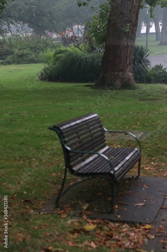 bench in the park © abdulmohsen
