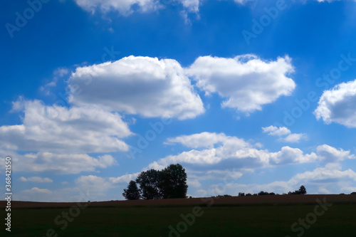 Sommerlandschaft