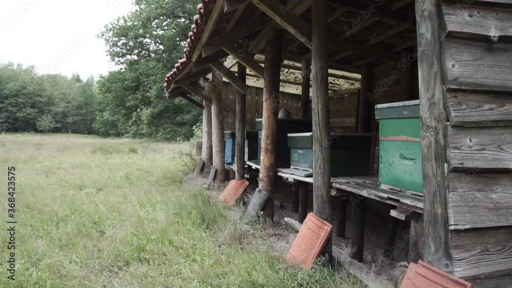 Little shed with beehives for the production of honey. Bees flying in and out to gather pollen Little shed with beehives for the production of honey. Bees flying in and out to gather pollen