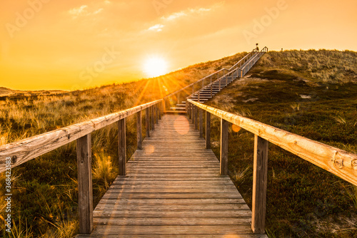 Sylt island wooden stairs at sunrise. Golden hour landscape