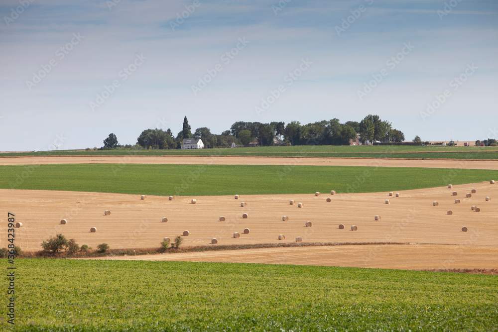 straw bales in rolling hills of northern france under blue sky