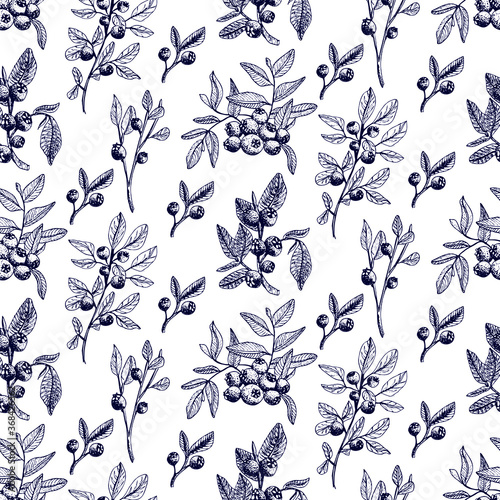 Blueberry vector seamless pattern. Isolated berry branch sketch on white background. Summer fruit engraved style illustration. Detailed hand drawn vegetarian food. Great for label, poster, print