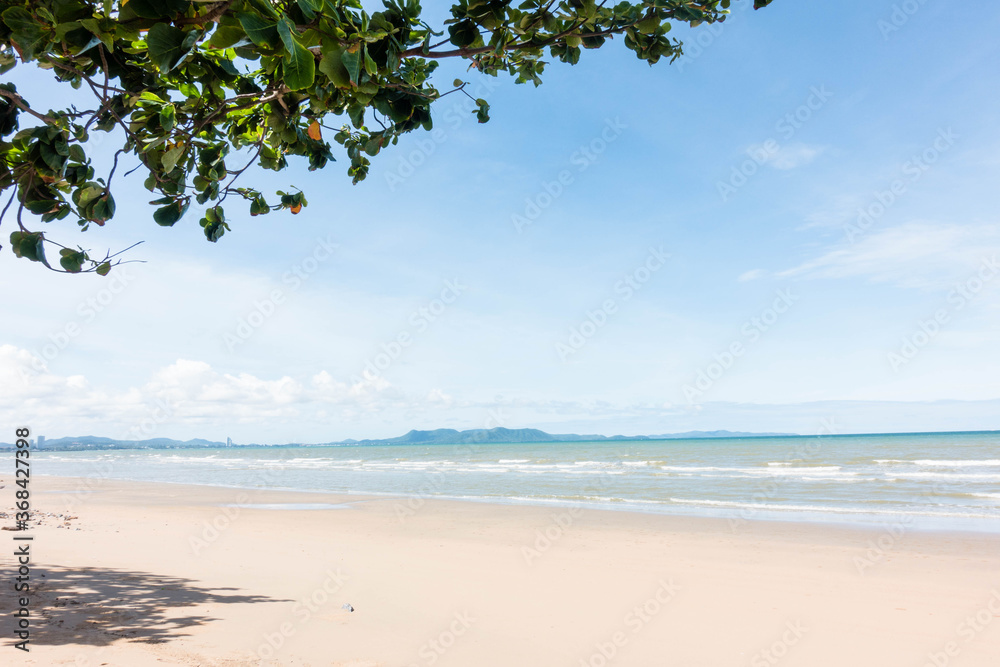 Tropical beach with tree and shadow on sand Tropical beach with tree and shadow on sand