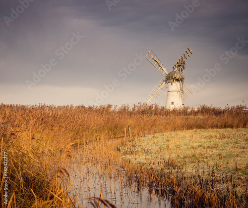 Thurne Mill Reeds