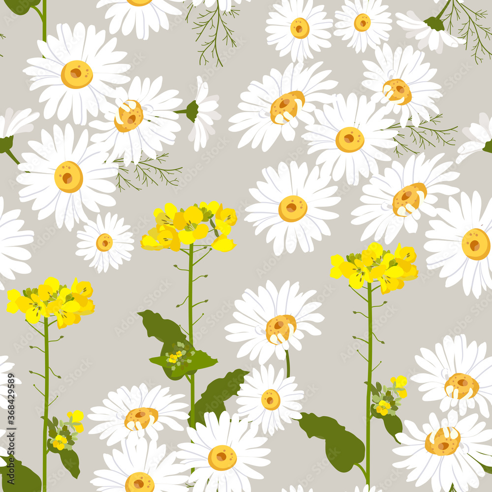 Seamless vector illustration with daisies and wildflowers.