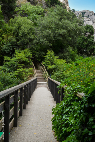 Small empty wooden bridge located in the middle of nature with green leafy trees