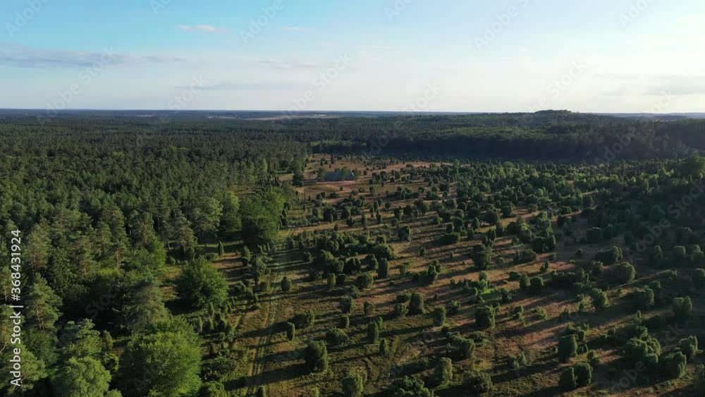 Drone flight over Lueneburg Heath , Germany Drone flight over Lueneburg Heath , Germany