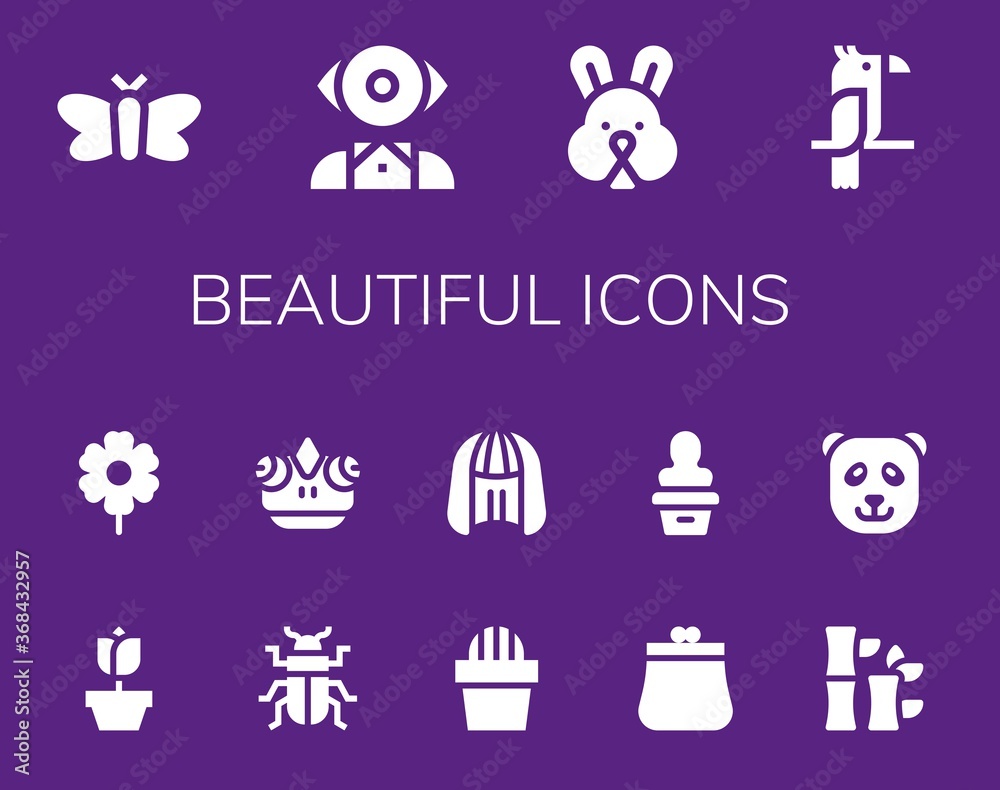 beautiful icon set beautiful icon set