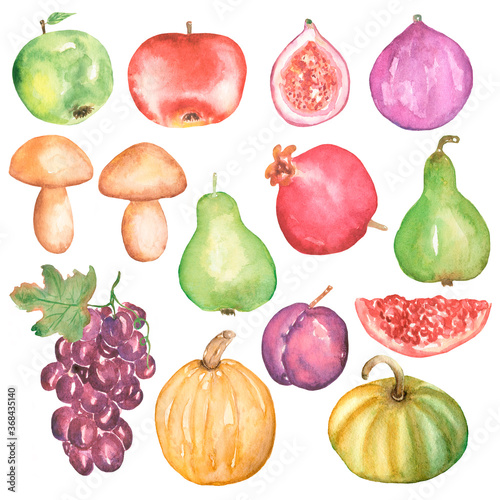 Autumn Harvest Set Clipart, Watercolor Pumpkin, Apple, Pear, Figs, Grapes, Plum, Pomegranate, Mushroom, Graphic Fall Fruit, Vegetables, Kitchen
