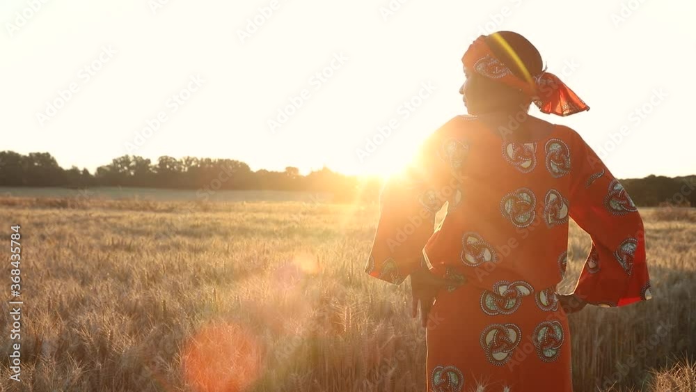 HD Video clip of African woman farmer in traditional clothes standing in a field of crops, wheat or barley, in Africa at sunset or sunrise