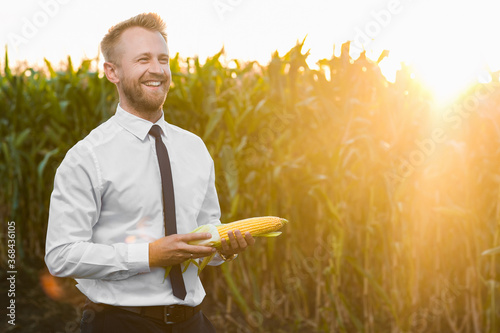 Mature, handsome, well-dressed, businessman holding a raw, golden corn and standing in the middle of green cornfield during sunrise.