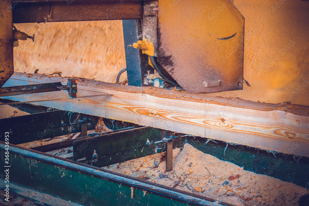Fototapeta premium Sawmill. Process of machining logs in sawmill machine saws the tree trunk