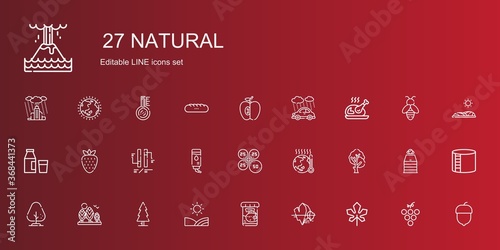 natural icons set