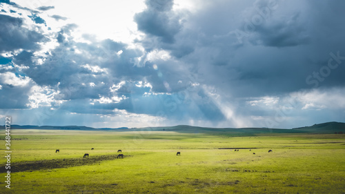 Horses grazing with clouds and sky